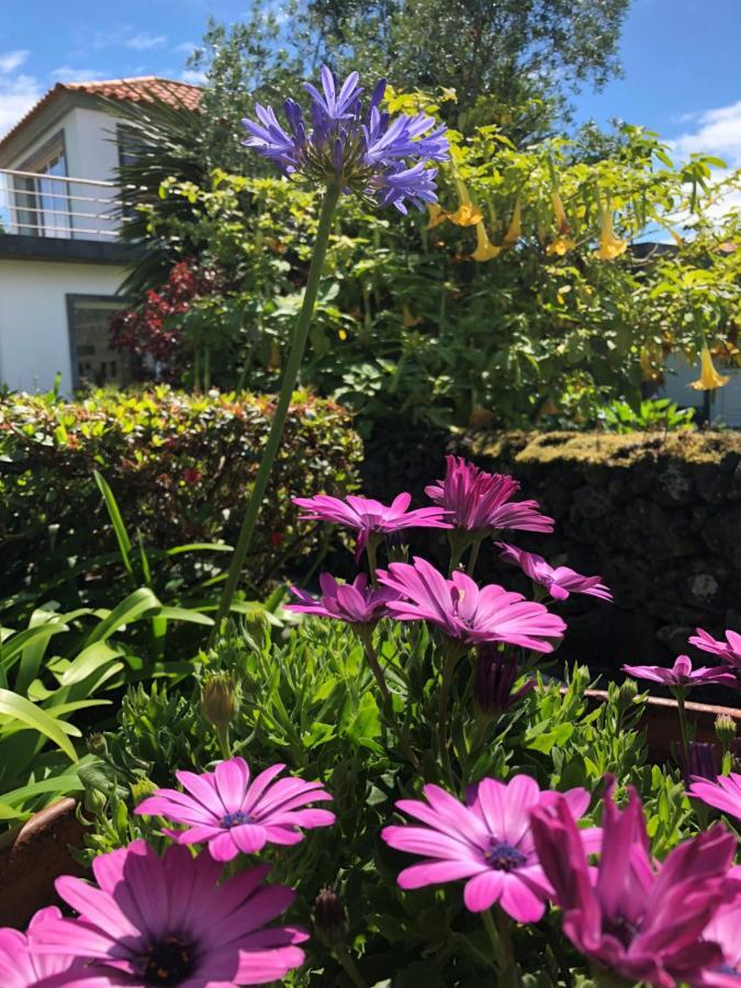 Quinta Da Bela Vista Ponta Delgada - Açores Exterior foto